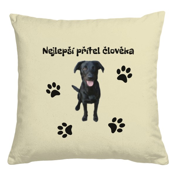 Nejlepší přítel člověka pes tlapky