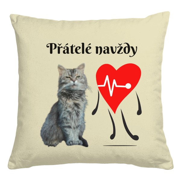 Přátelé navždy - kočka - srdce