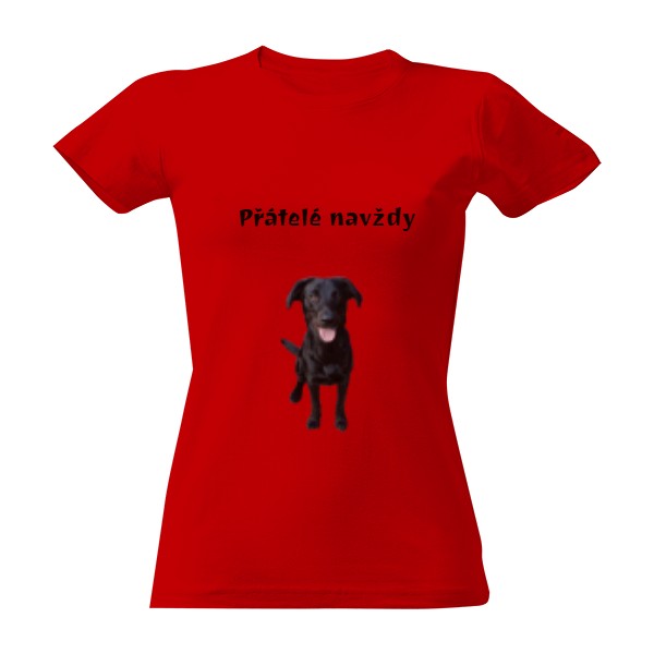 Přátelé navždy pes