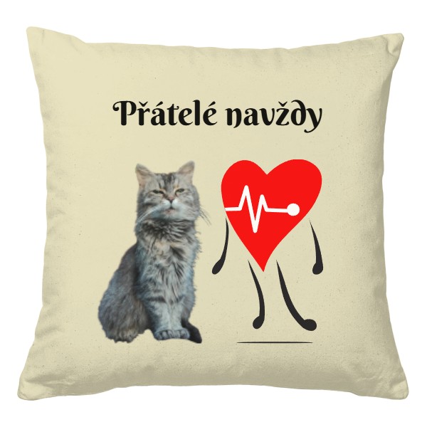 Přátelé navždy - kočka - srdce